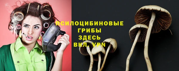 герыч Снежногорск