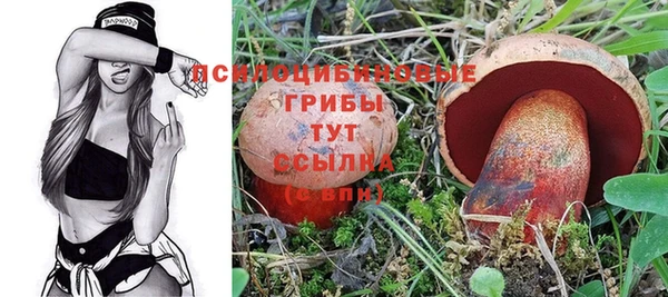 синтетический гашиш Балахна