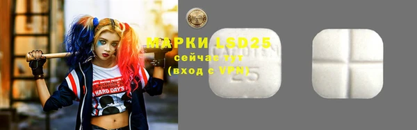 ГАЛЛЮЦИНОГЕННЫЕ ГРИБЫ Баксан
